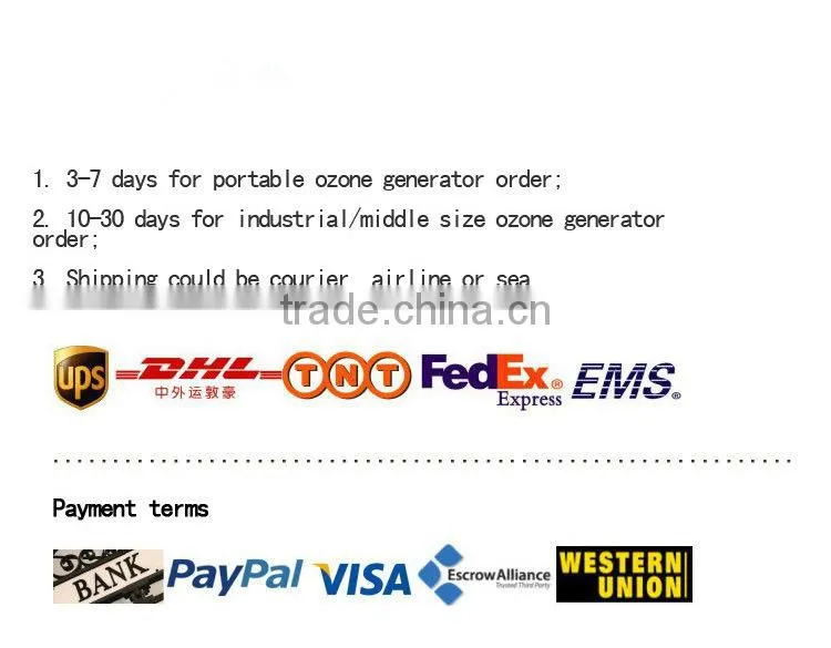 2013 Hot sales home use blue 5g ozone generator