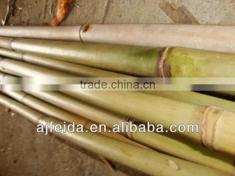 bamboo produce &bamboo cane
