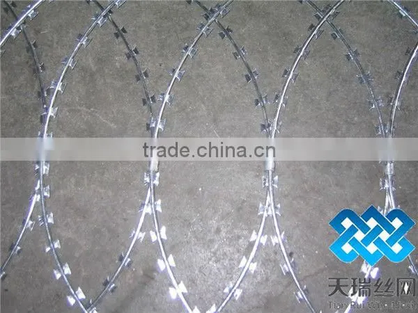 razor barbed wire fence