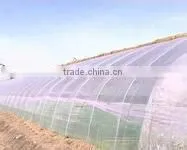 ldpe agriculture greenhouse/mulch film