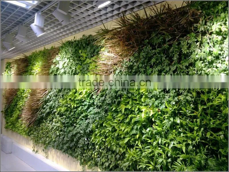 Artificial green wall plant wall