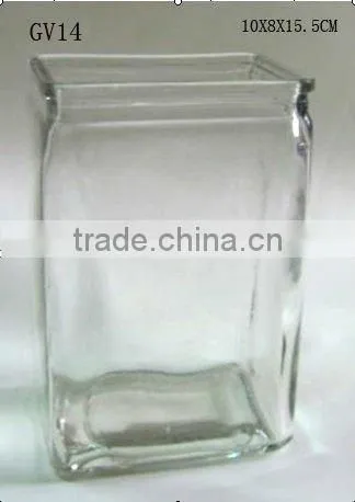 decorative clear large glass vase for flower GV14
