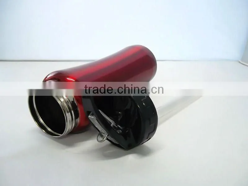 stainless steel water bottle (with straw)