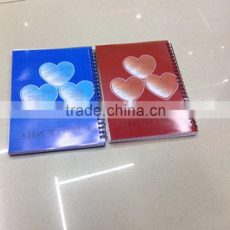 Plastic PVC cover notebook with double o wire