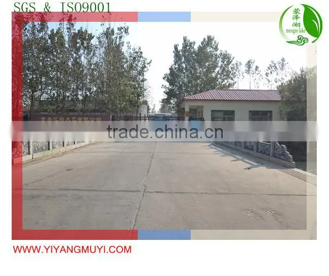 Plastic holder bed slats