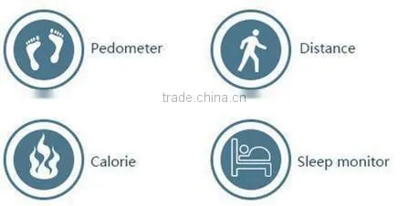 Newest Style Multifunction Pedometer, LOGO OEM Pedometer, Bluetooth Fitness Pedometer