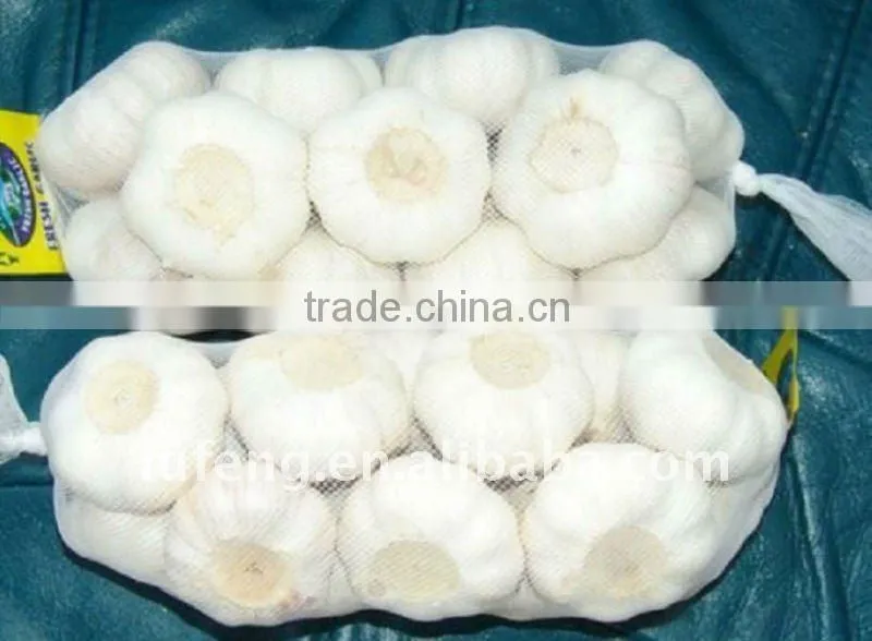 Chinese White Frozen Garlic