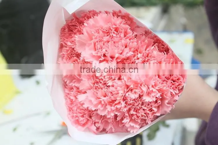 Exquisite factory direct flower head carnation