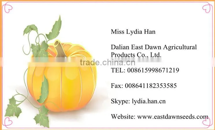 Hot Sell White Pumpkin Seeds, Online Market Sell Hybrid Pumpkin Seeds