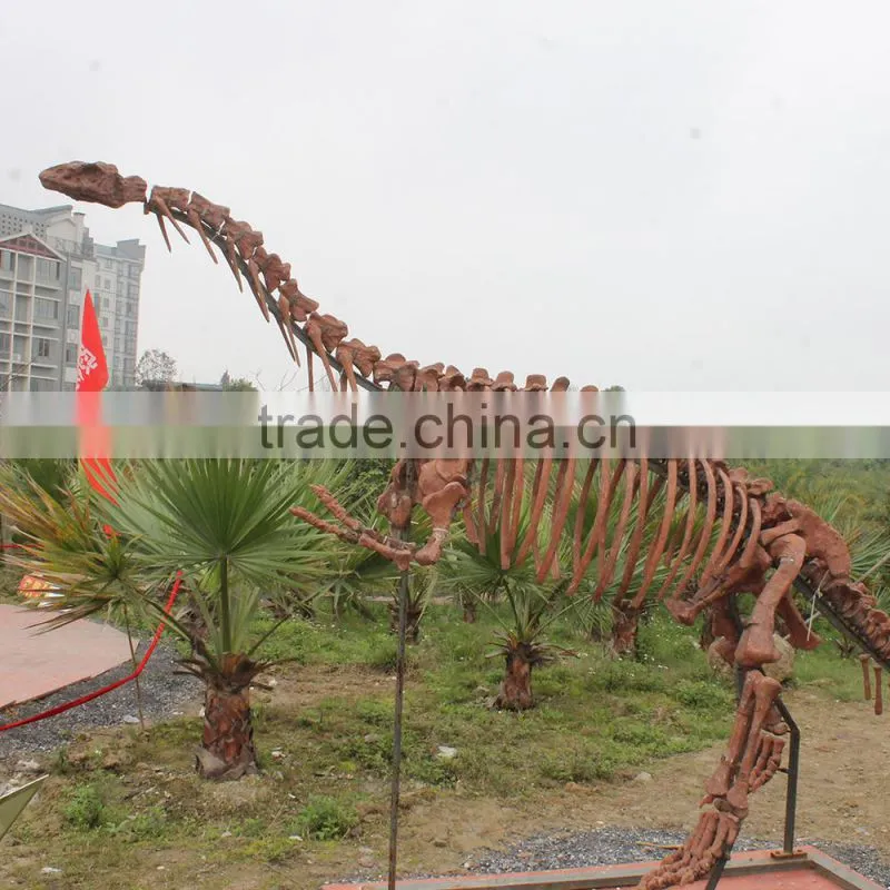 HLT On Exhibit Dinosaur Footprints Fossils Of Dinosaur