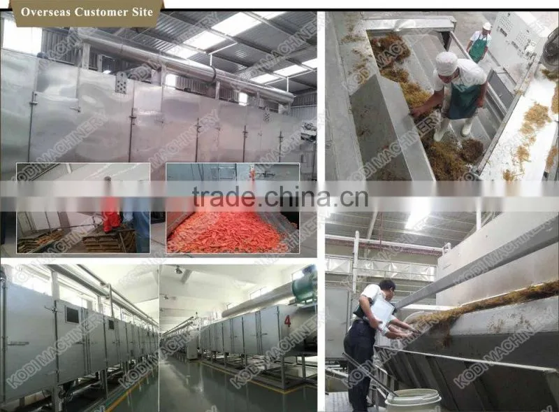 DW Model Continuous Sunflower Seeds Mesh Conveyor Belt Dryer