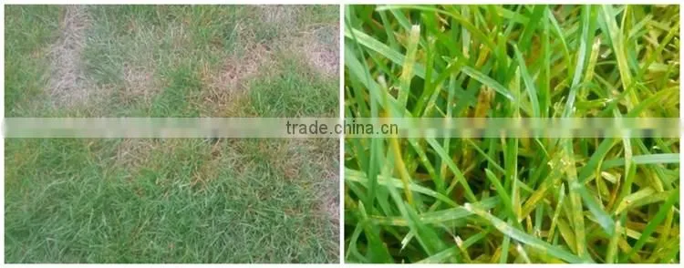 Huminrich Shenyang SH9040-1 Blackgold Humate Compost Fertilizer Price