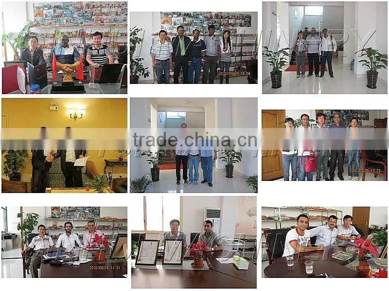 Automatic Electronic Weighting Vertical Packaging Machine