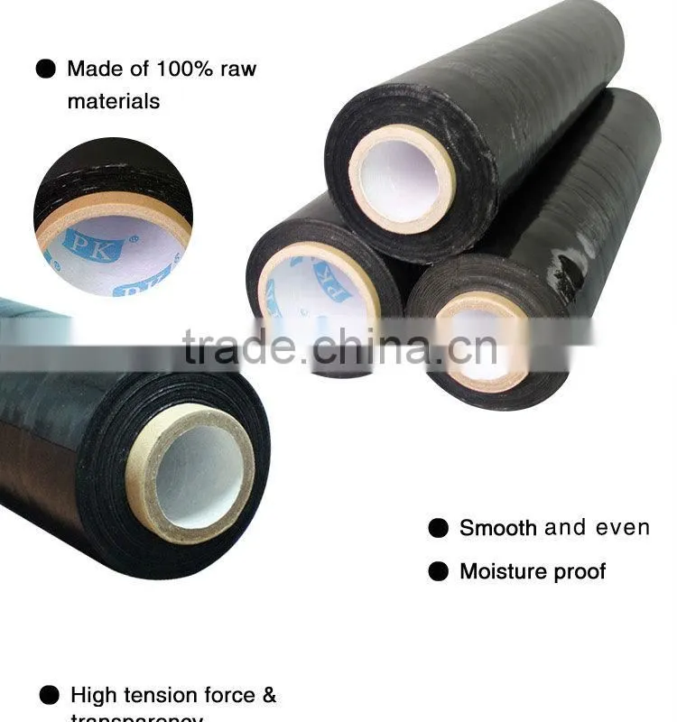15 micron polyester film