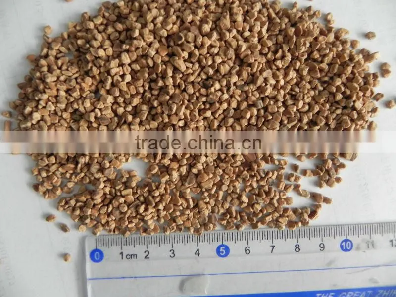 Competitive price walnuts in shell/walnut shell powder for water-oil separation.