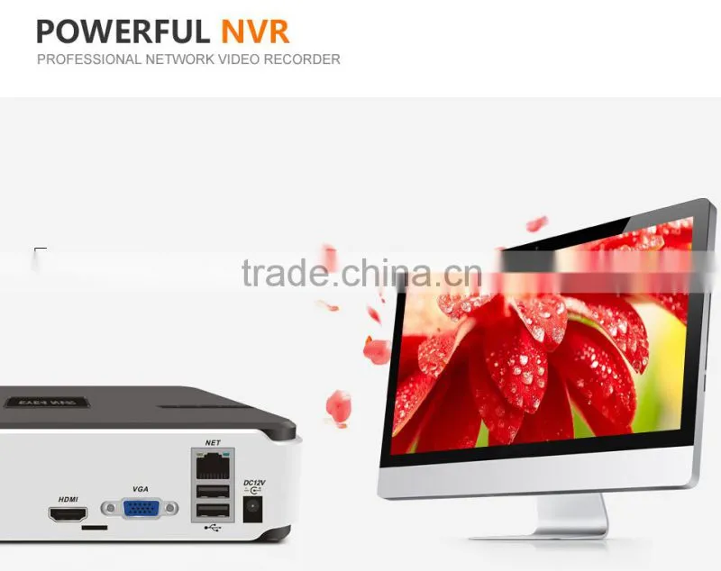 2016 Vstarcam Hot on Sale ip cctv camera kit including one NVR two IP cameras excellent for private homes offices stores shops