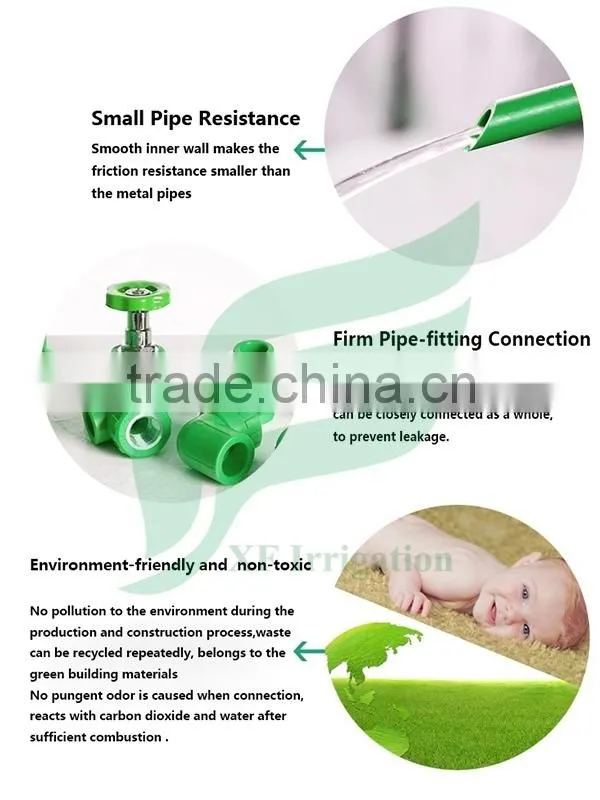 PPR Pipe and Fittings