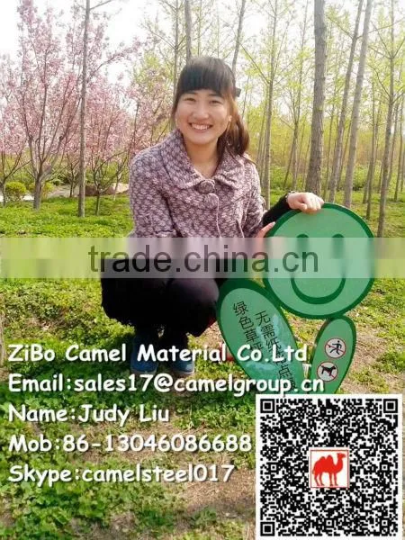 Color Coated Steel Coil,PPGI/PPGL coil,RAL Galvanized Steel Coil Building Materials