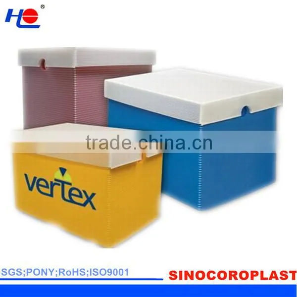 Plastic Corrugated Carton