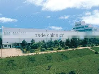 Polyester Film