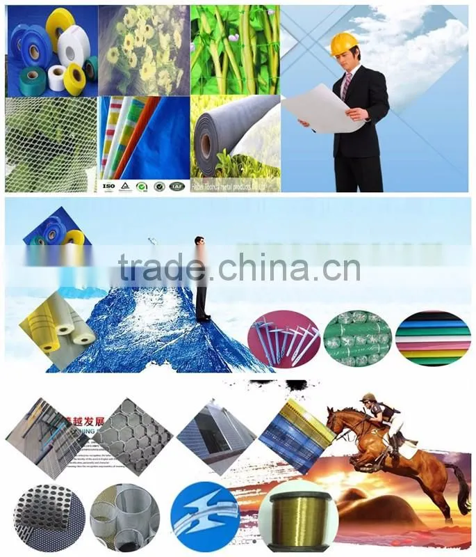 PVC Coated Chain Link Wire Mesh
