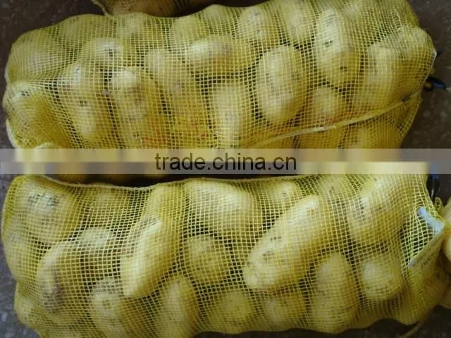 Holland Potato to Dubai Market for Sale