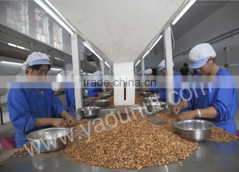 Bitter Apricot Kernels crop 2015