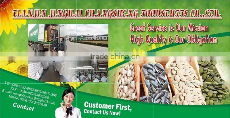Sell SUNFLOWER SEEDS 5009, 6009, 363, 1121at Cheap Price