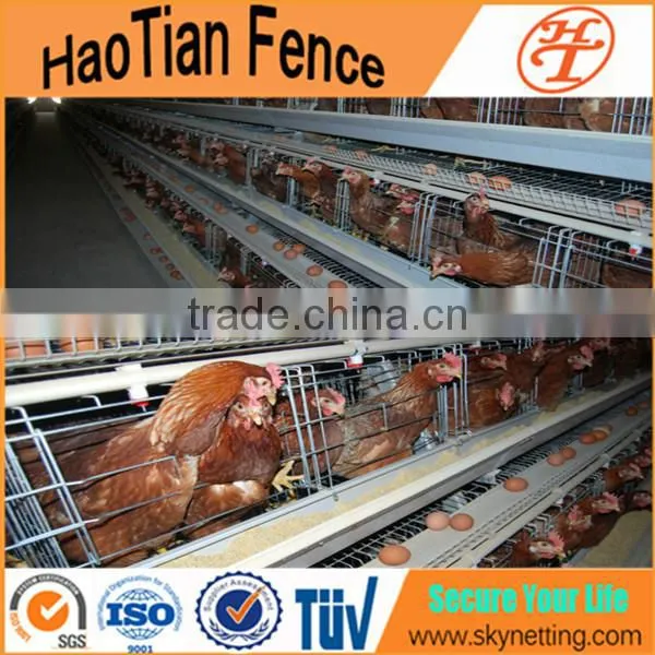 China commercial chicken cage for sale chicken layer cage price metal cheap chicken coops