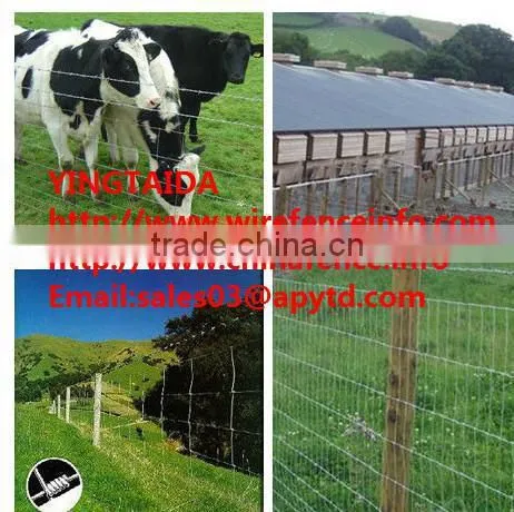 Wire Mesh Fence/cattle,Horse,Sheep,Chicken Grassland Fence/pig Farming Equipmen