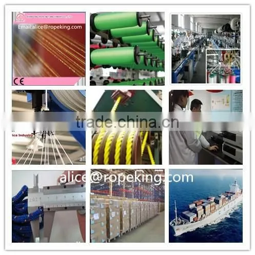 Twisted Rope Plastic Rope