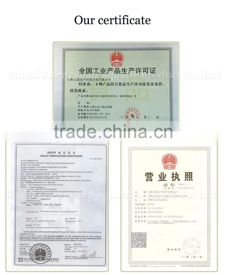 New laning whole round seafrozen Horse Mackerel for canning with good quality and competitive price