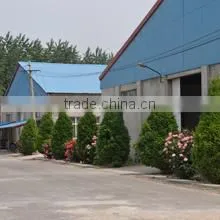 Shandong Cao County Linhao Woods Co., Ltd. company overview - view 2