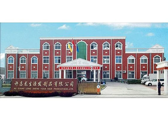 Xuchang Longshengyuan Hair Products Co., Ltd. company overview - view 1