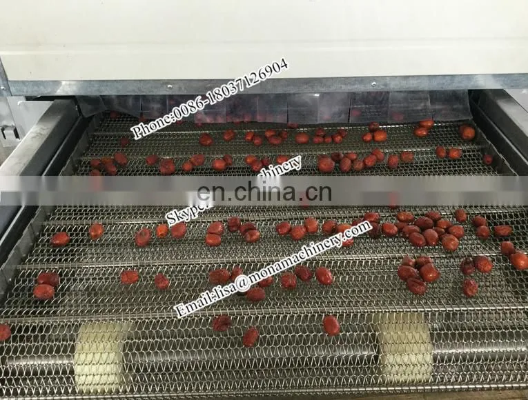 Prunes Multiple layer continuous type mesh belt dryer