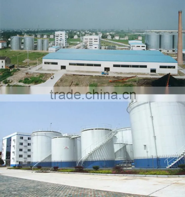 Avocado oil cold press machine with ISO CE Certification