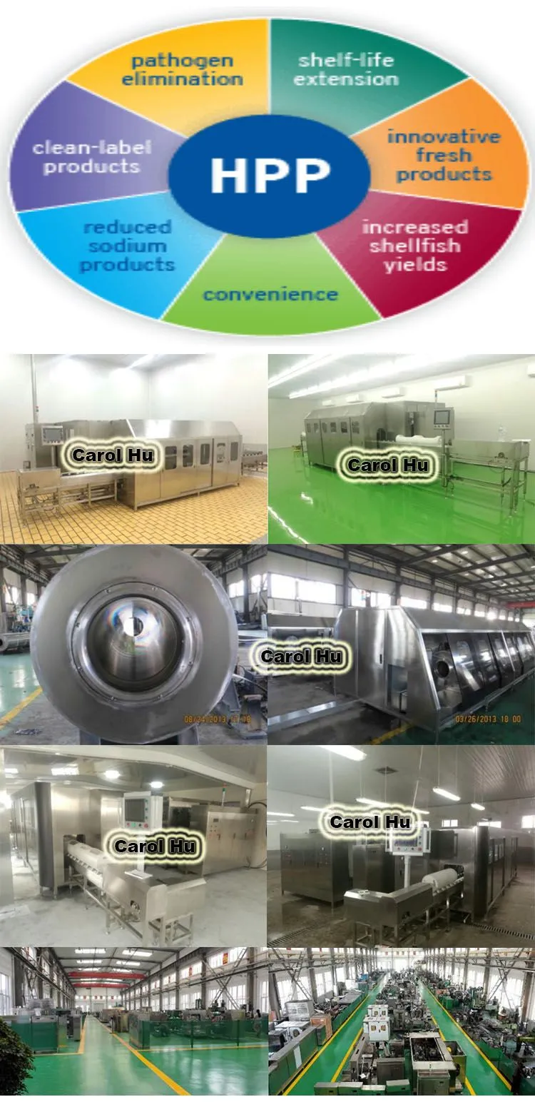 Mini Small 3L 5L 10L Juice HPP Machine