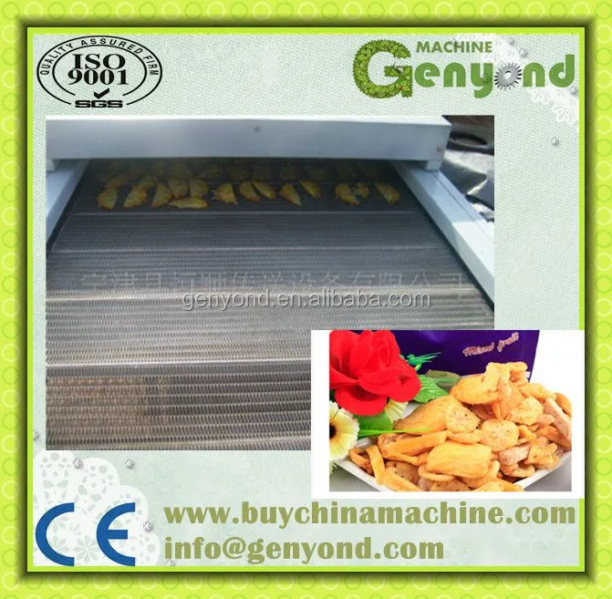 Core Components PLC Gear Pump Motor-Fruit and Vegetable Chips Making Machine