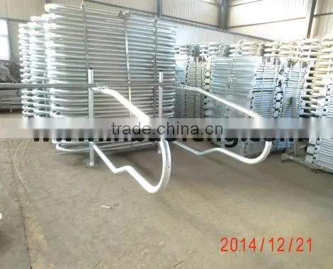 cattle cow free stall