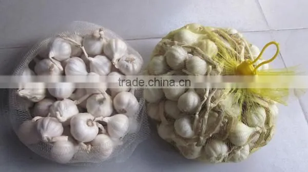 Fresh garlic