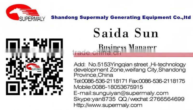 250kw/300kva world famous gas generator price