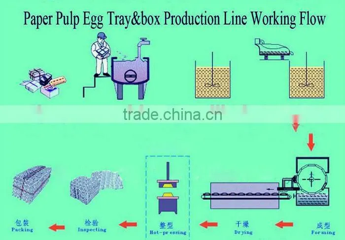 Automatic Small Egg Tray Making Machine With Large Capacity