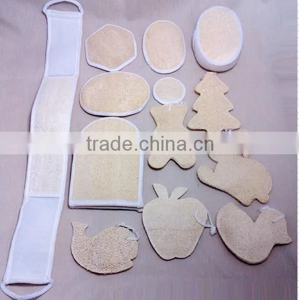 Eco-friendly wall cleaning brush,toilet brush for sale