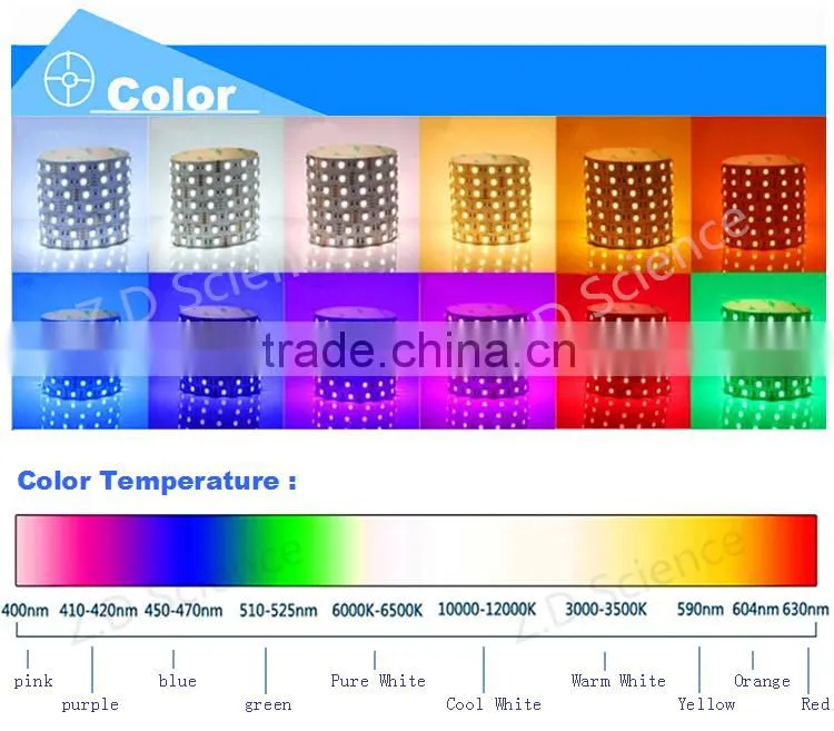 Super Bright Double Line White LED Strip 3528 240LEDs/M 3 Years Warranty
