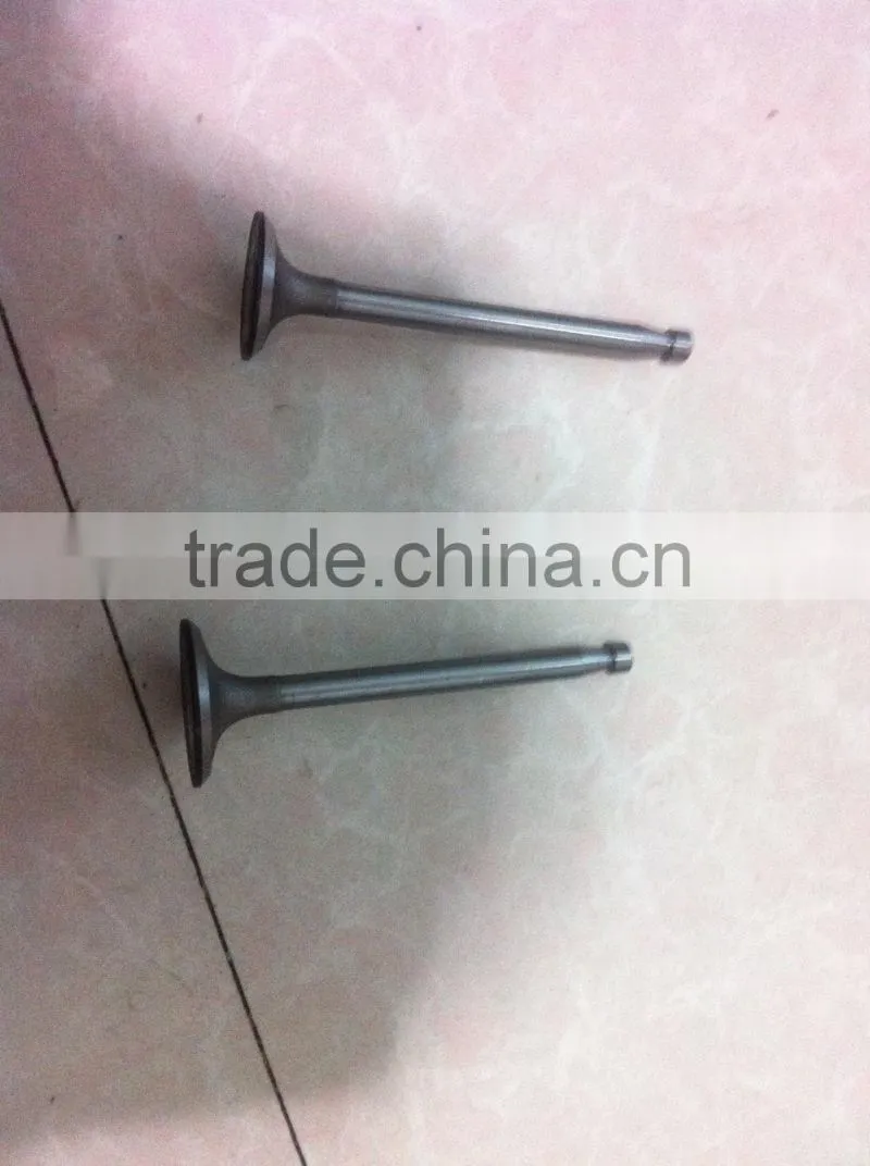 intake/exhaust valve for auto engine