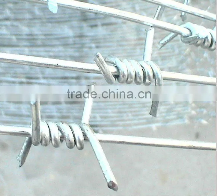 colored barbed wire
