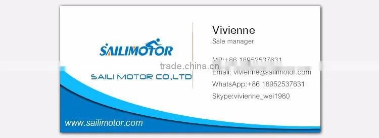 brushless DC gear motor