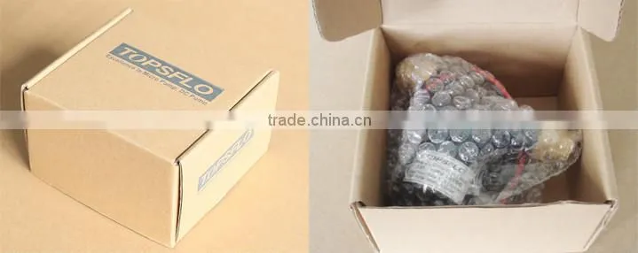 12V DC brushless SWH hot heat system pump