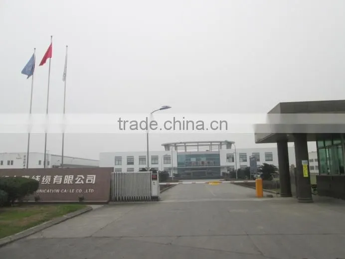 Chengdu Datang Communication Cable Co., Ltd. company overview - view 2