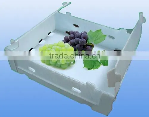 Asparagus corrugated plastic packaging box